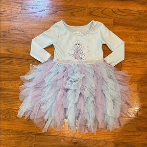 Elsa Disney Blue and Purple dress with Tulle Layers